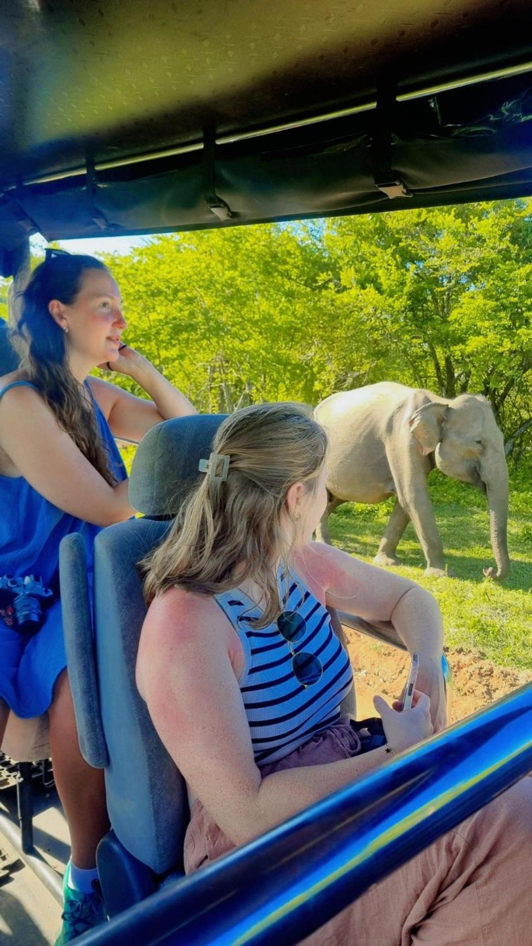 White Rose Safari Home Stay Udawalawe Bagian luar foto