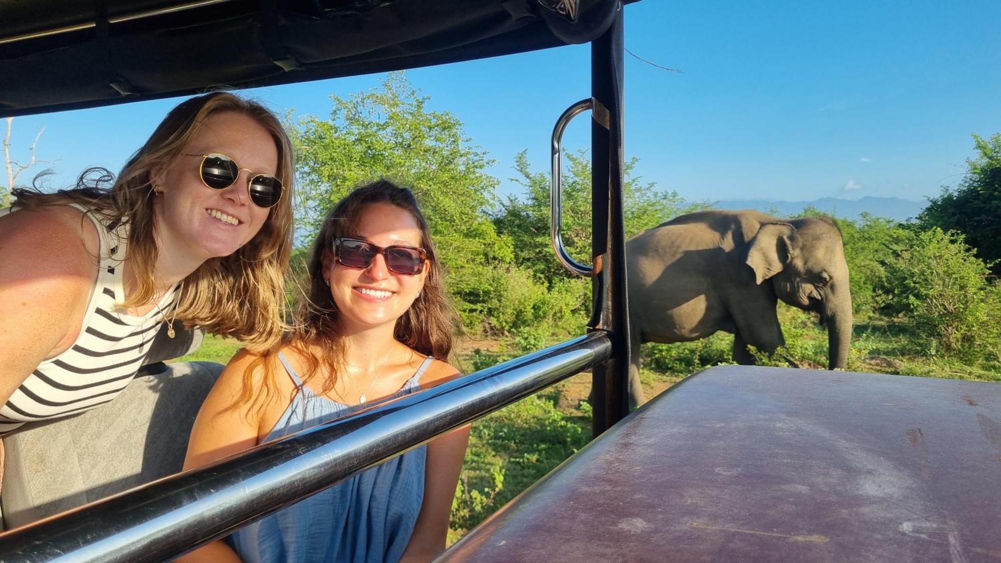 White Rose Safari Home Stay Udawalawe Bagian luar foto