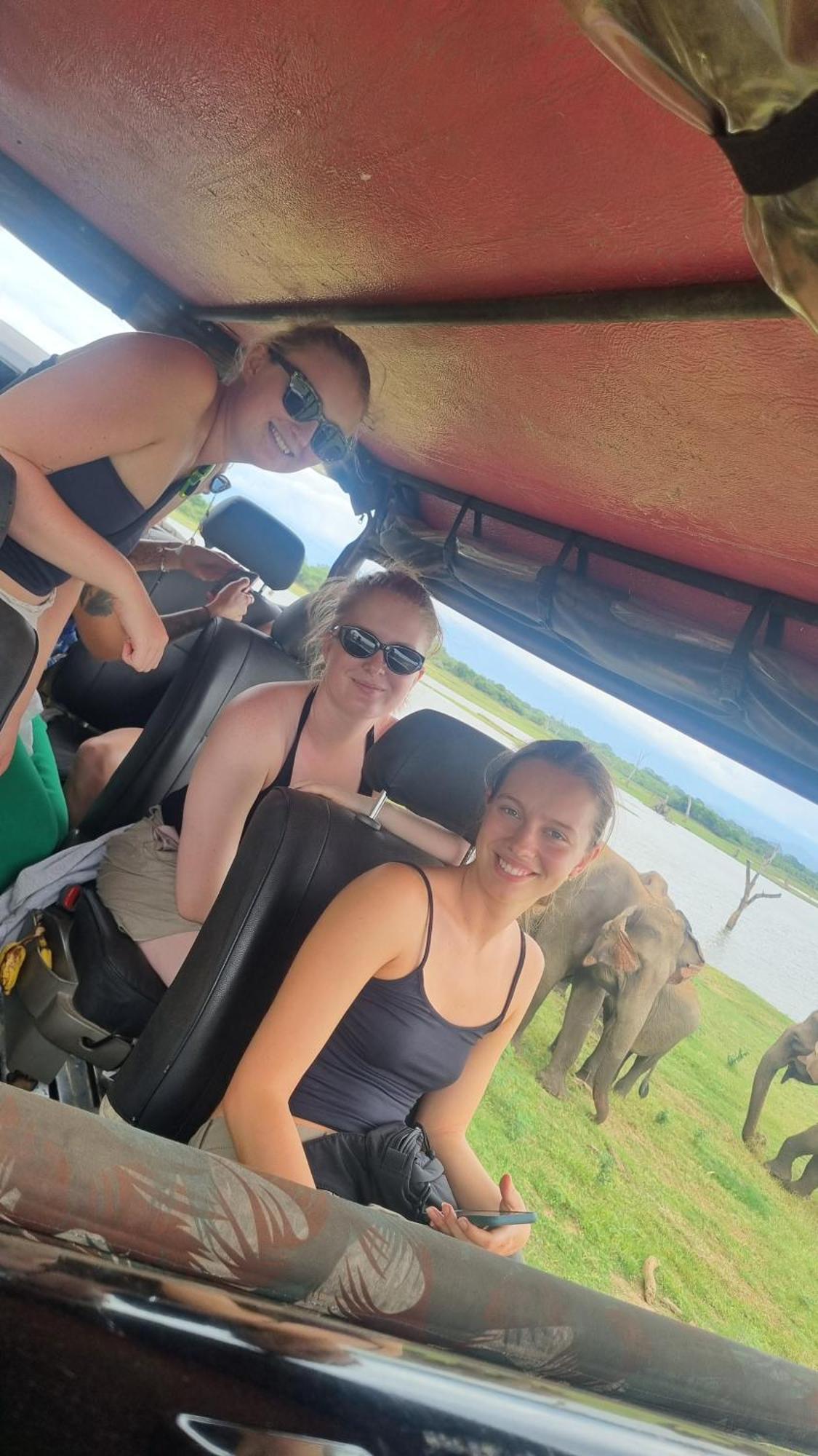 White Rose Safari Home Stay Udawalawe Bagian luar foto