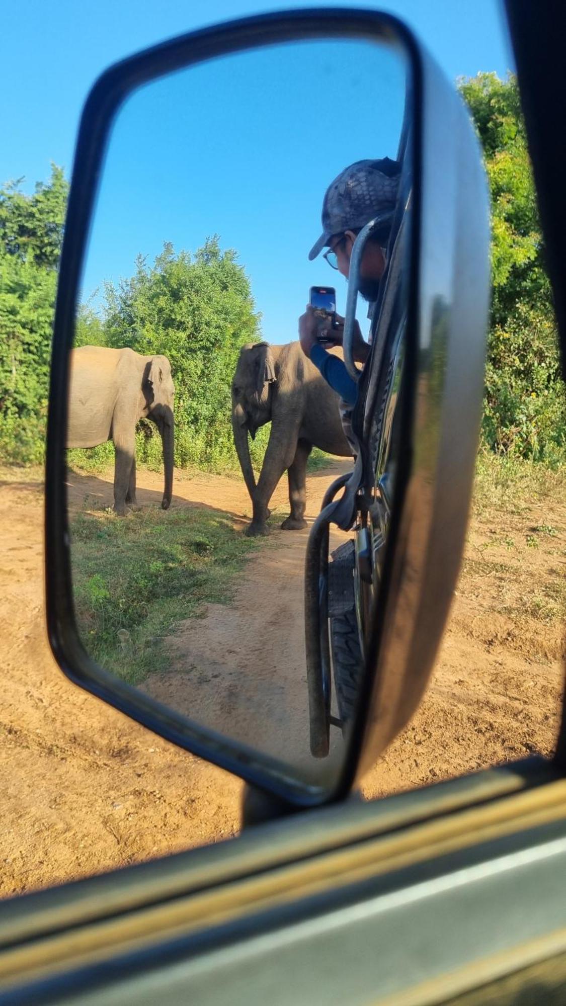 White Rose Safari Home Stay Udawalawe Bagian luar foto